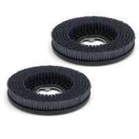 Double brosse TYNEX Ø 1 autolaveuse Grande Brio 55