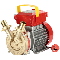 Rover BE-M 25 IP 55 - Pompe électrique de transfert en bronze avec protection IP55 - Monophasée - 230 V