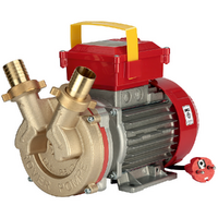 Rover BE-M 30 - Pompe électrique de transfert en bronze - Monophasée - 230 V
