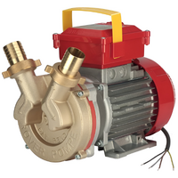 Rover BE-T 25 - Pompe électrique de transfert en bronze - Triphasée - 400 V