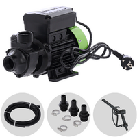 Ribimex PRKG115A - Pompe de transfert pour gasoil + kit distributeur