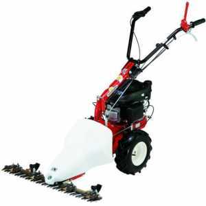 Motofaucheuse thermique tract&eacute;e Eurosystems P55V moteur &agrave; essence Briggs&amp;Stratton